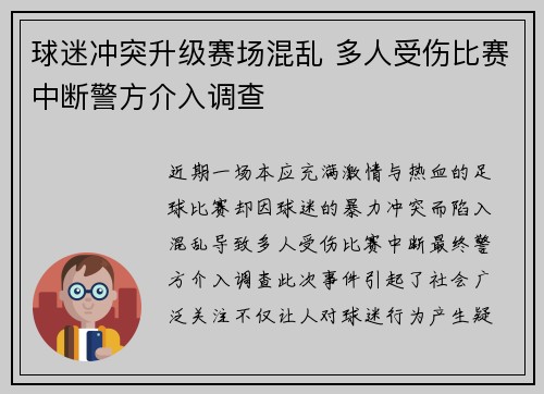 球迷冲突升级赛场混乱 多人受伤比赛中断警方介入调查