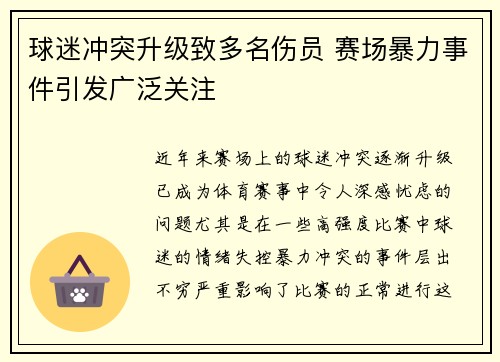 球迷冲突升级致多名伤员 赛场暴力事件引发广泛关注